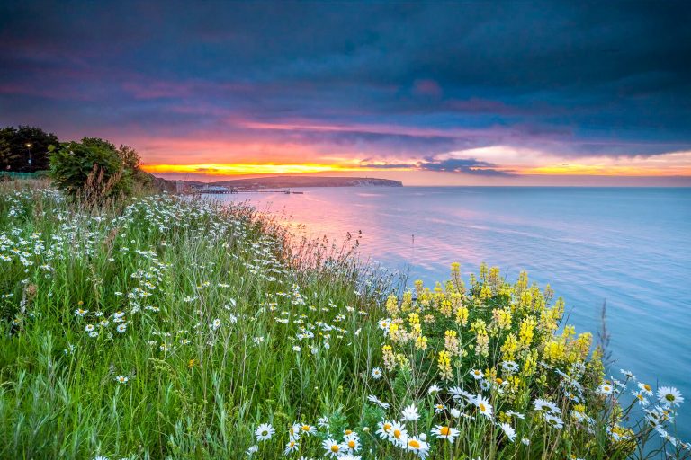 Shanklin Island Visions