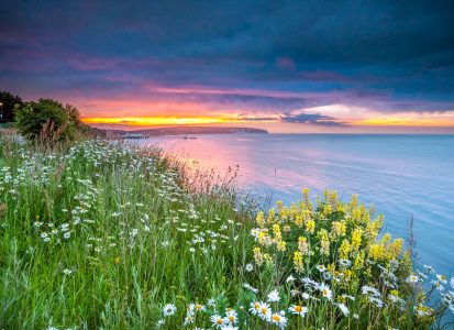 Shanklin Island Visions